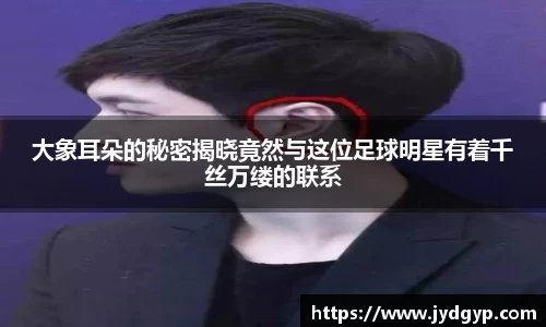 大象耳朵的秘密揭晓竟然与这位足球明星有着千丝万缕的联系
